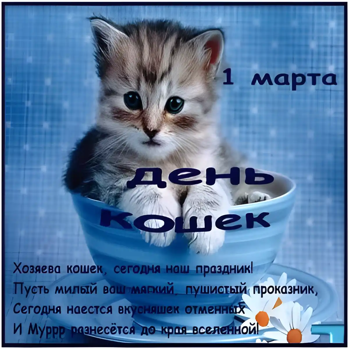 Открытка С Всемирным днём кошек - Котенок в ванной: милая открытка с 1 марта | Красивая открытка #15