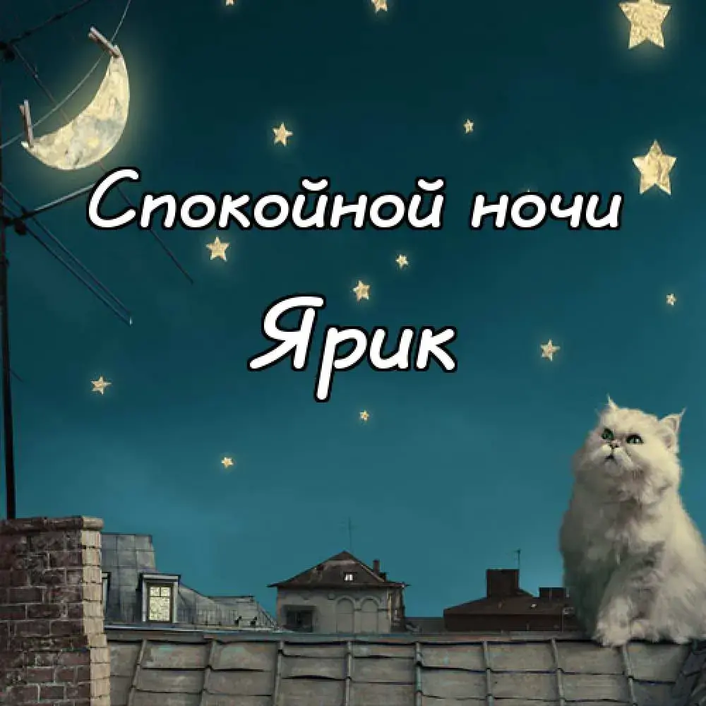 Открытка Открытки с именем Ярослав  - Котенок на крыше под луной  Открытка с котом | Красивая открытка #83