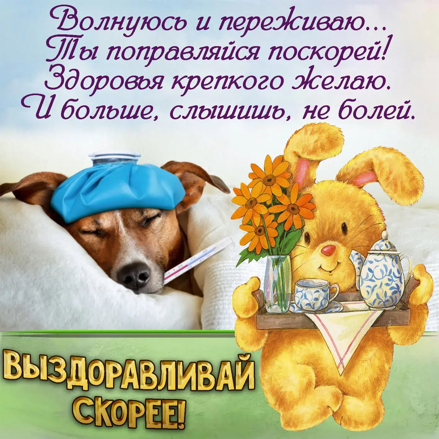 Открытка Выздоравливай - Открытка с заболевшим щенком: Веселые пожелания скорейшего выздоровления! | Красивая открытка #18
