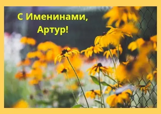 Открытка открытки с именем Артур - Яркие желтые цветы на открытке | Красивая открытка #245