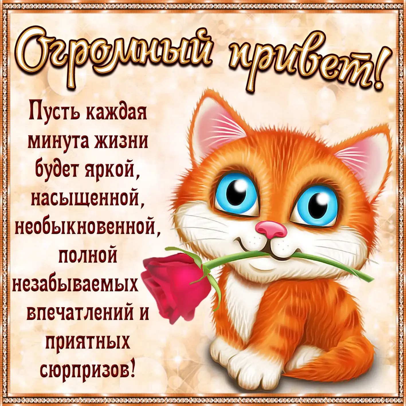 Открытка Привет - Котенок с розой: Праздничная открытка с милым сюрпризом! | Красивая открытка #95