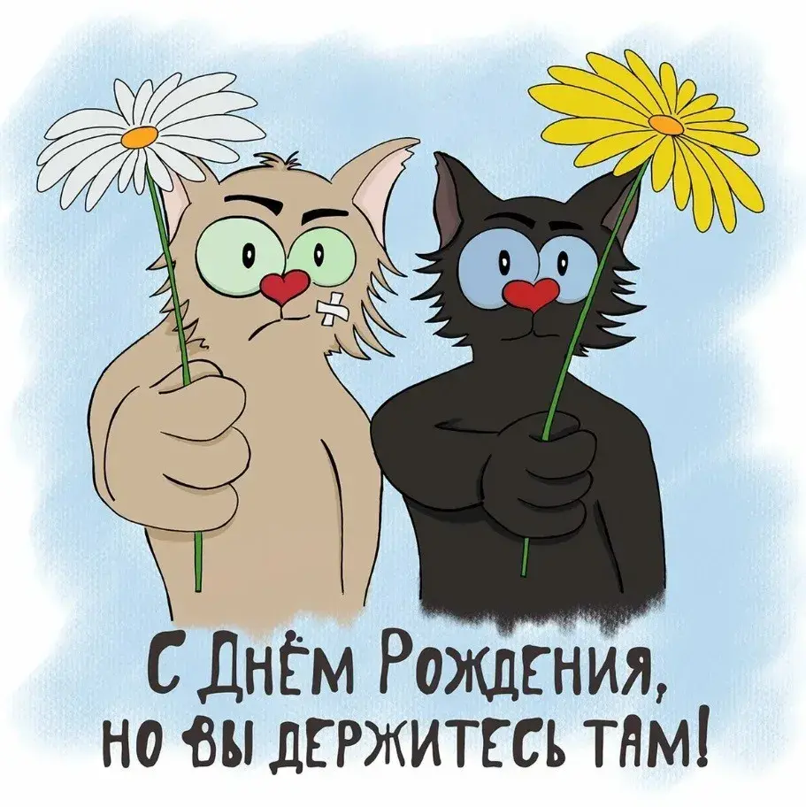 Открытка с днём рождения прикольные - С Днём Рождения! Мяу! | Красивая открытка #28
