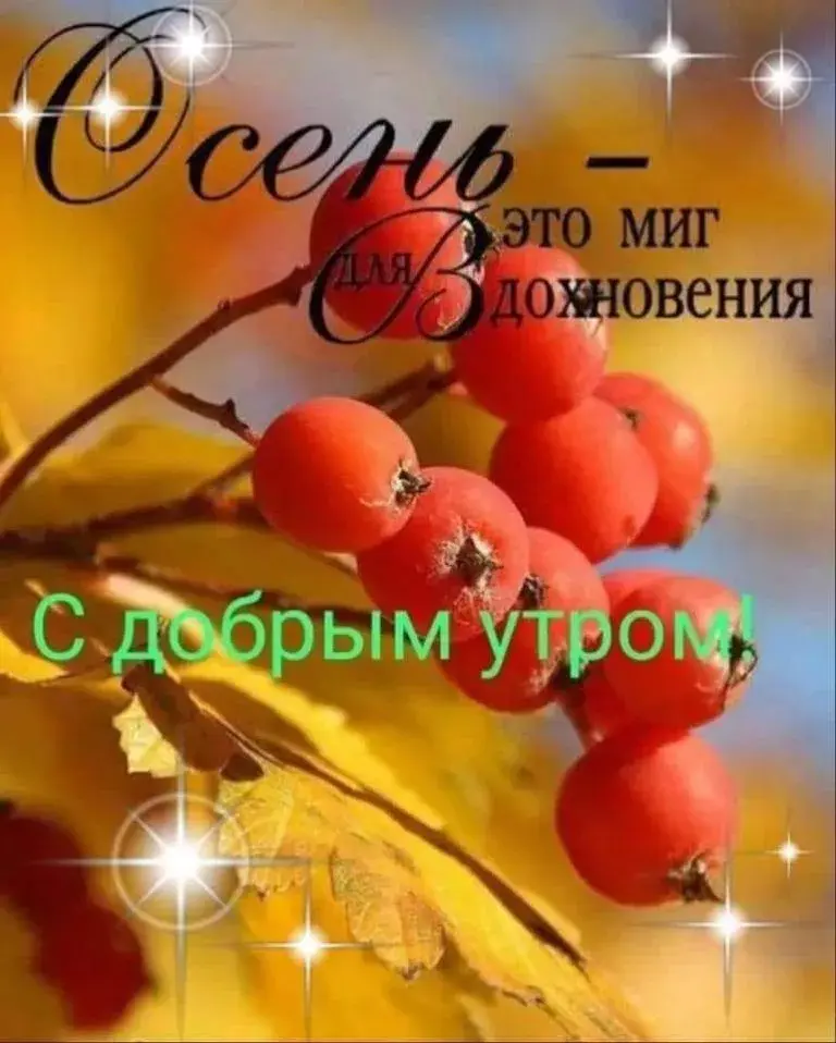 Открытка доброе осеннее утро - Открытка: Осень, рябина, золотая листва | Красивая открытка #1
