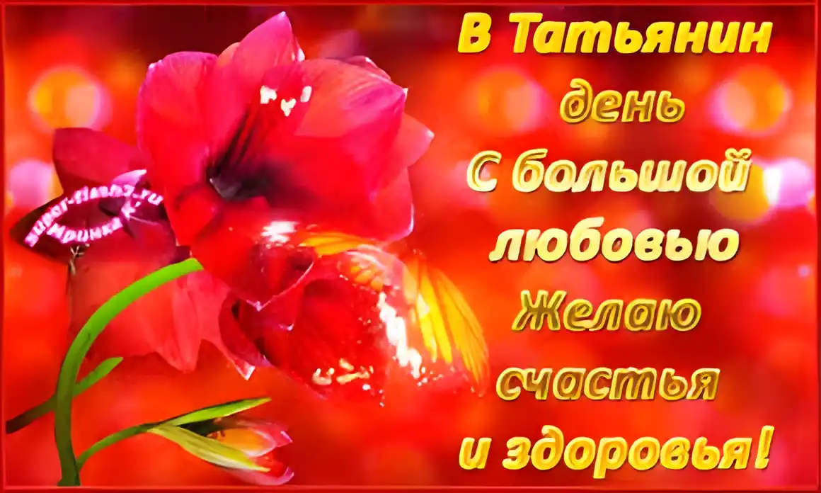 Открытка открытки на Татьянин день  - Красный бутон цветка на открытке с надписями | Красивая открытка #240