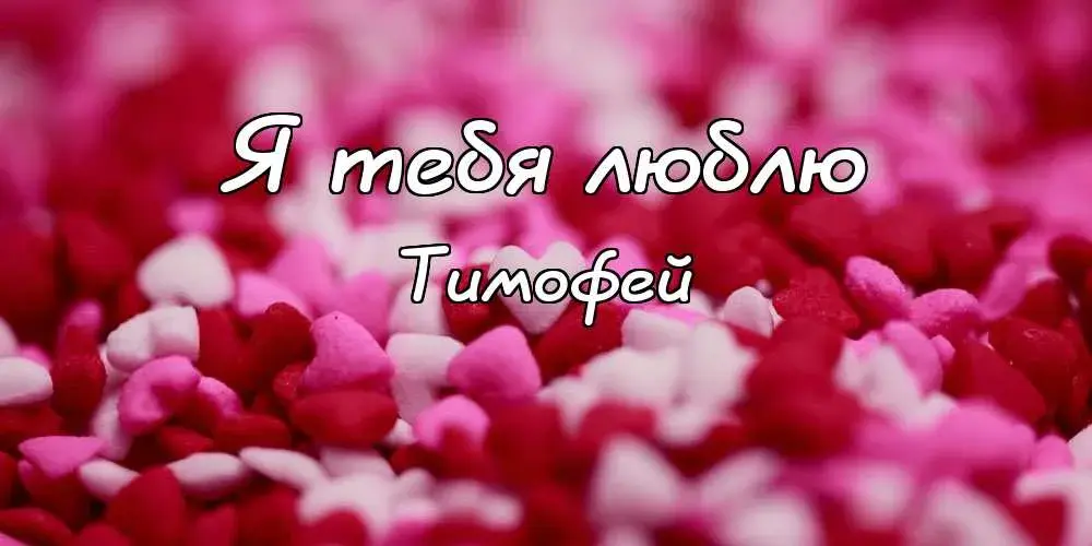 Открытка Открытки с именем Тимофей - Лепестки роз: открытка с цветами | Красивая открытка #125