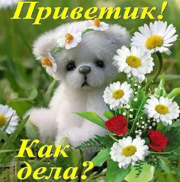 Открытка Привет - Милая собачка с ромашками и розами  открытка | Красивая открытка #24