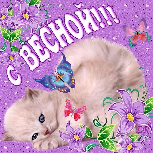 Открытка С первым днём весны - Котенок с бабочками и цветами  Праздничная открытка | Красивая открытка #19