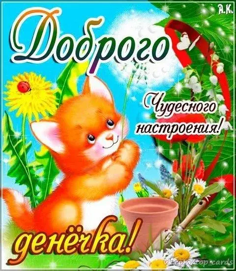 Открытка добрый день - Открытка с котенком и цветами | Красивая открытка #13