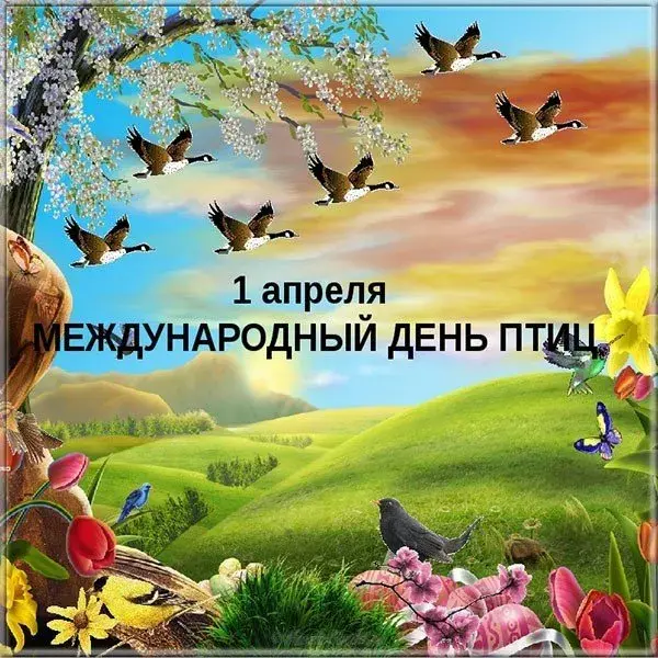 Открытка С днём птиц - Международный День Птиц: Красивая открытка с цветами | Красивая открытка #4