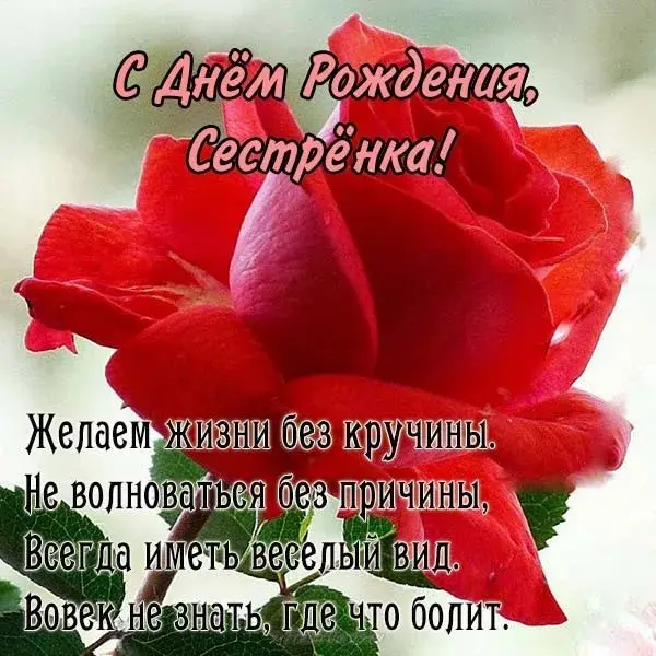 Открытка С днем рождения для сестры - Открытка с днем рождения: красные розы | Красивая открытка #6