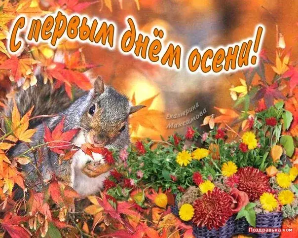 Открытка Открытки с первым днем осени - Белка на фоне осеннего леса. Открытка с природой. | Красивая открытка #77
