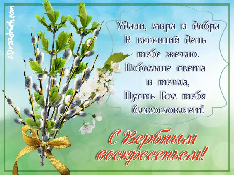 Открытка Вербное Воскресенье - Открытка с ветками вербы и лентой: Пасхальное поздравление | Красивая открытка #257