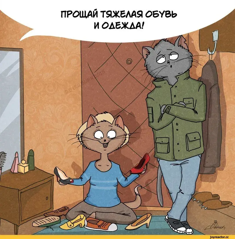 Открытка времена года - Коты и обувь: смешная открытка  Joyreactor | Красивая открытка #77