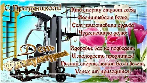 Открытка День физкультурника - Открытка: День Спорта  Фиолетовые Цветочки и Спортивное Оборудование | Красивая открытка #26