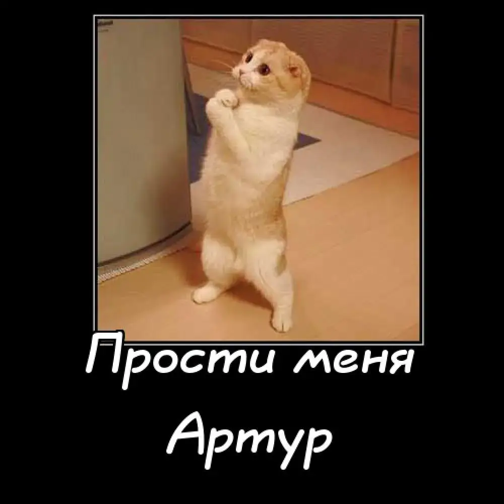 Открытка открытки с именем Артур - Забавная кошка: открытка с милым котенком | Красивая открытка #173