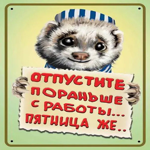 Открытка Открытки на пятницу - Ежик в колпаке: Открытка с забавным персонажем | Красивая открытка #36