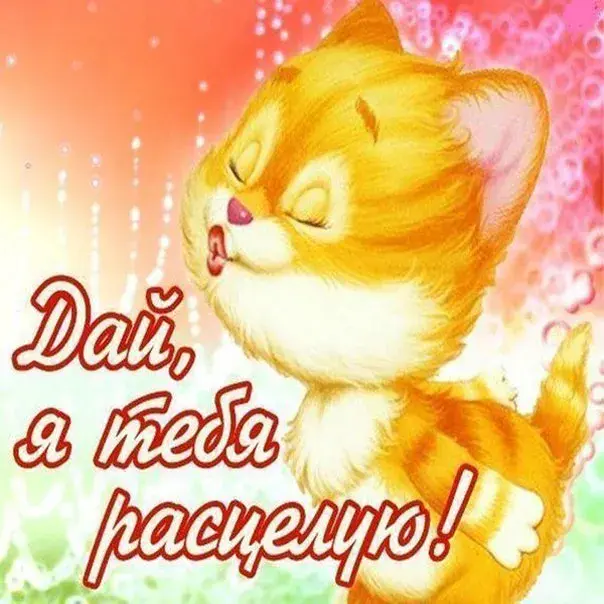 Открытка День поцелуя - Рыжий котенок на открытке | Красивая открытка #208