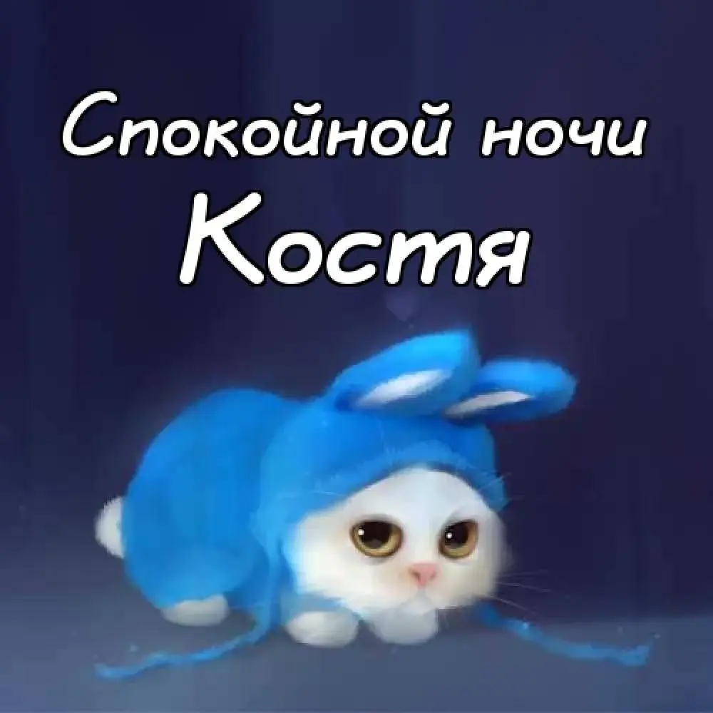 Открытка Открытки с именем Константин  - Милый котенок в шапке: открытка с добрым вечером | Красивая открытка #56