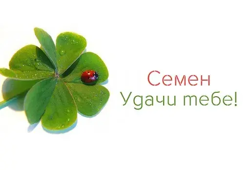 Открытка Открытки с именем Семен - Открытка с клевером и божьей коровкой | Красивая открытка #180