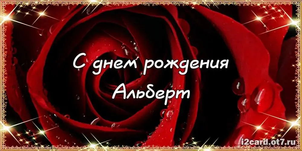 Открытка открытки с именем Альберт - С днем рождения! Красивая открытка с красной розой | Красивая открытка #55