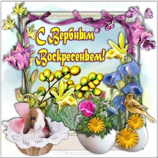Открытка С вербным воскресеньем - Открытка: кролик, цветы, птица, весна | Красивая открытка #117