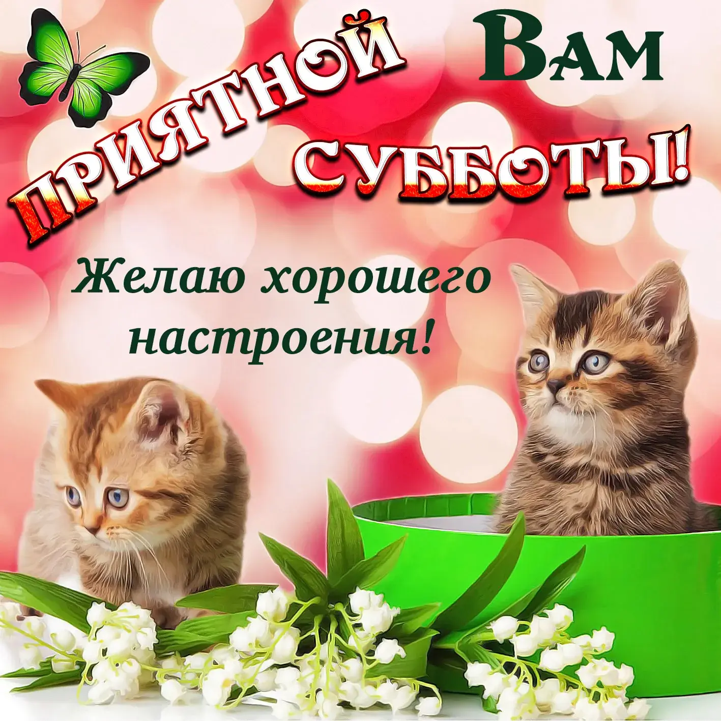 Открытка Доброе утро суббота - Открытка с котятами и ландышем | Красивая открытка #9