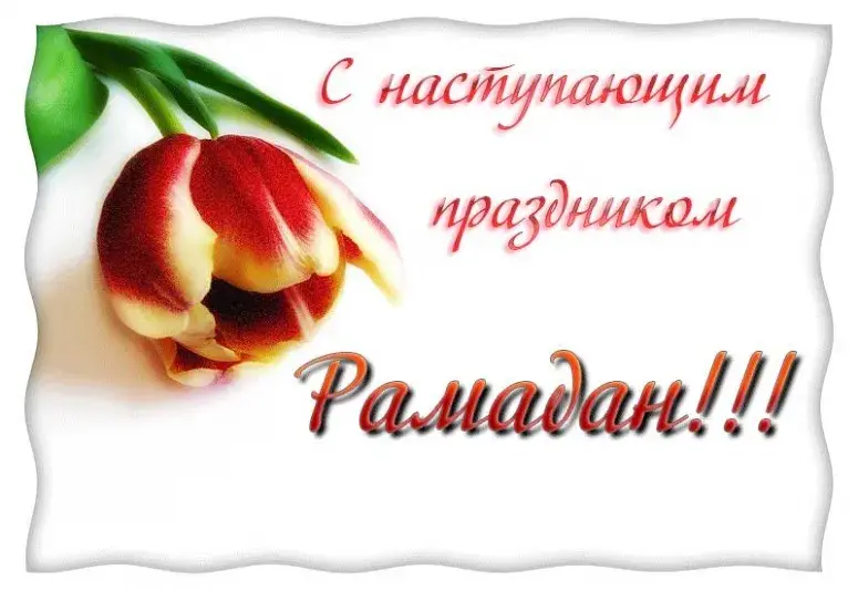Открытка Рамадан - Открытка с красным тюльпаном | Красивая открытка #32