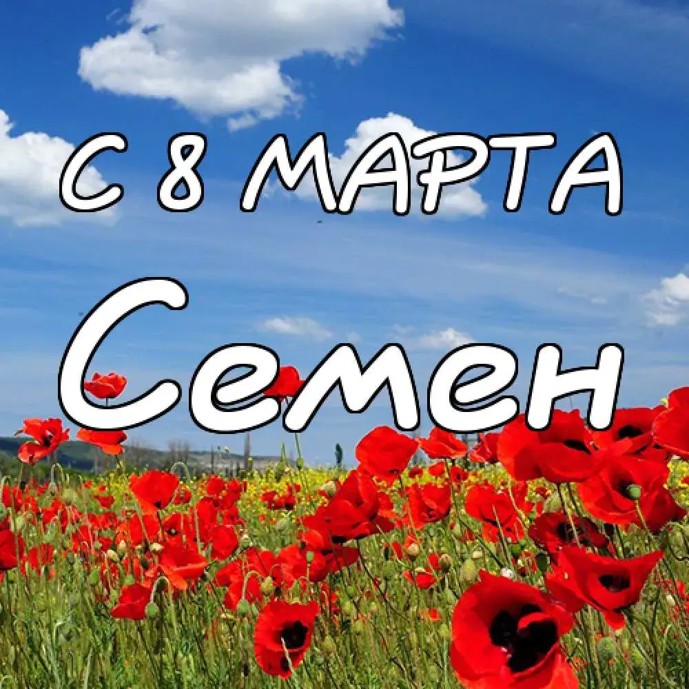 Открытка Открытки с именем Семен - Поле красных маков - открытка с 8 марта | Красивая открытка #78