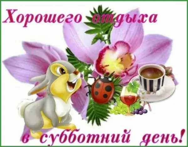 Открытка Открытки на субботу - Открытка: Зайчик, ягоды, божья коровка, цветы | Красивая открытка #212