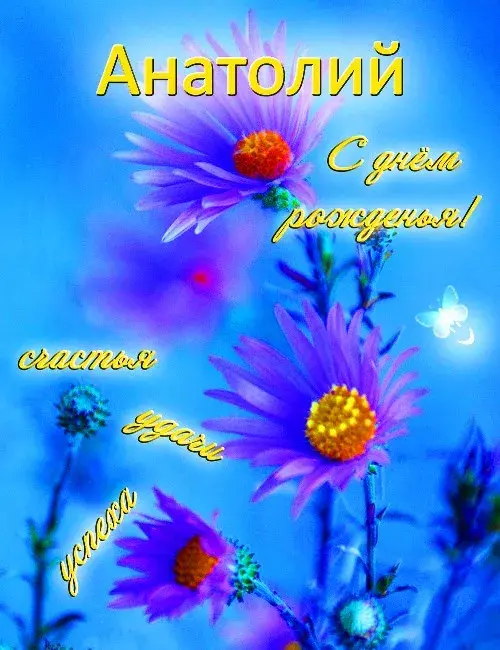 Открытка открытки с именем Анатолий - Открытка с цветами: фиолетовые и жёлтые цветы на синем фоне | Красивая открытка #135