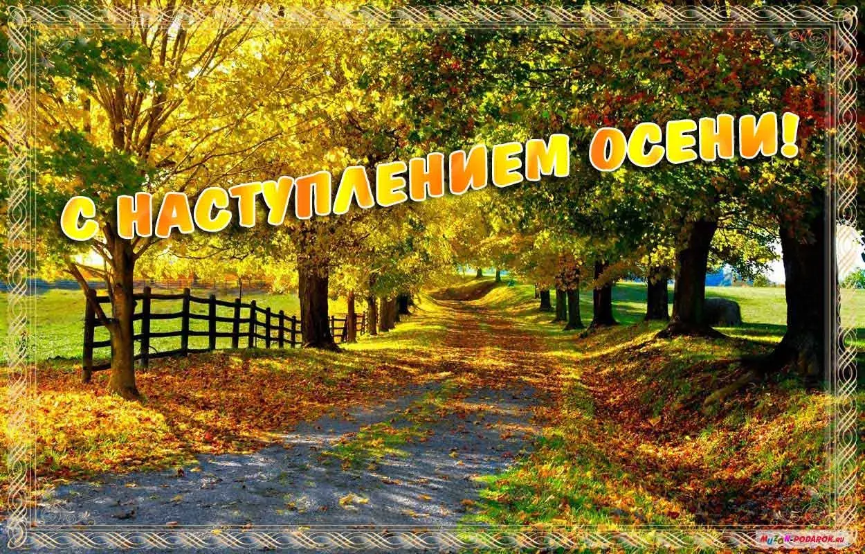 Открытка Первый день осени - Золотая осень: открытка с осенним пейзажем | Красивая открытка #8