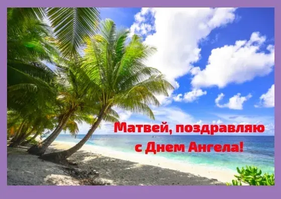 Открытка открытки с именем Матвей  - Открытка с днем ангела: пальмы на фоне моря | Красивая открытка #242