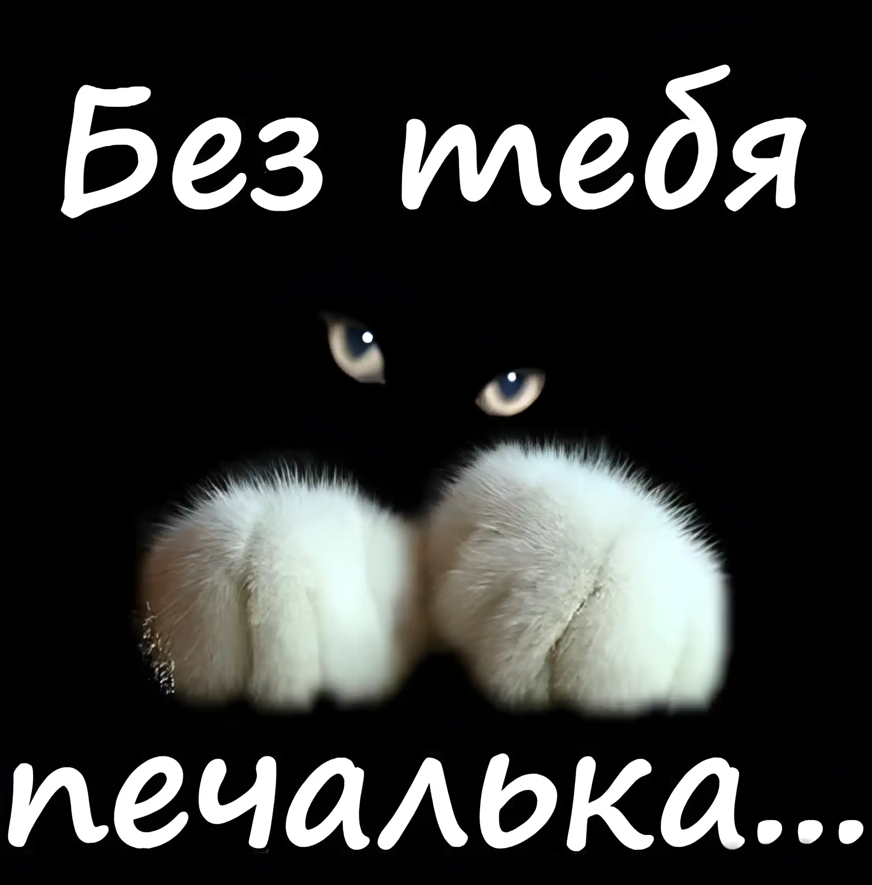 Открытка Я скучаю  - Котенок с лапками: Милая открытка с котенком | Красивая открытка #4