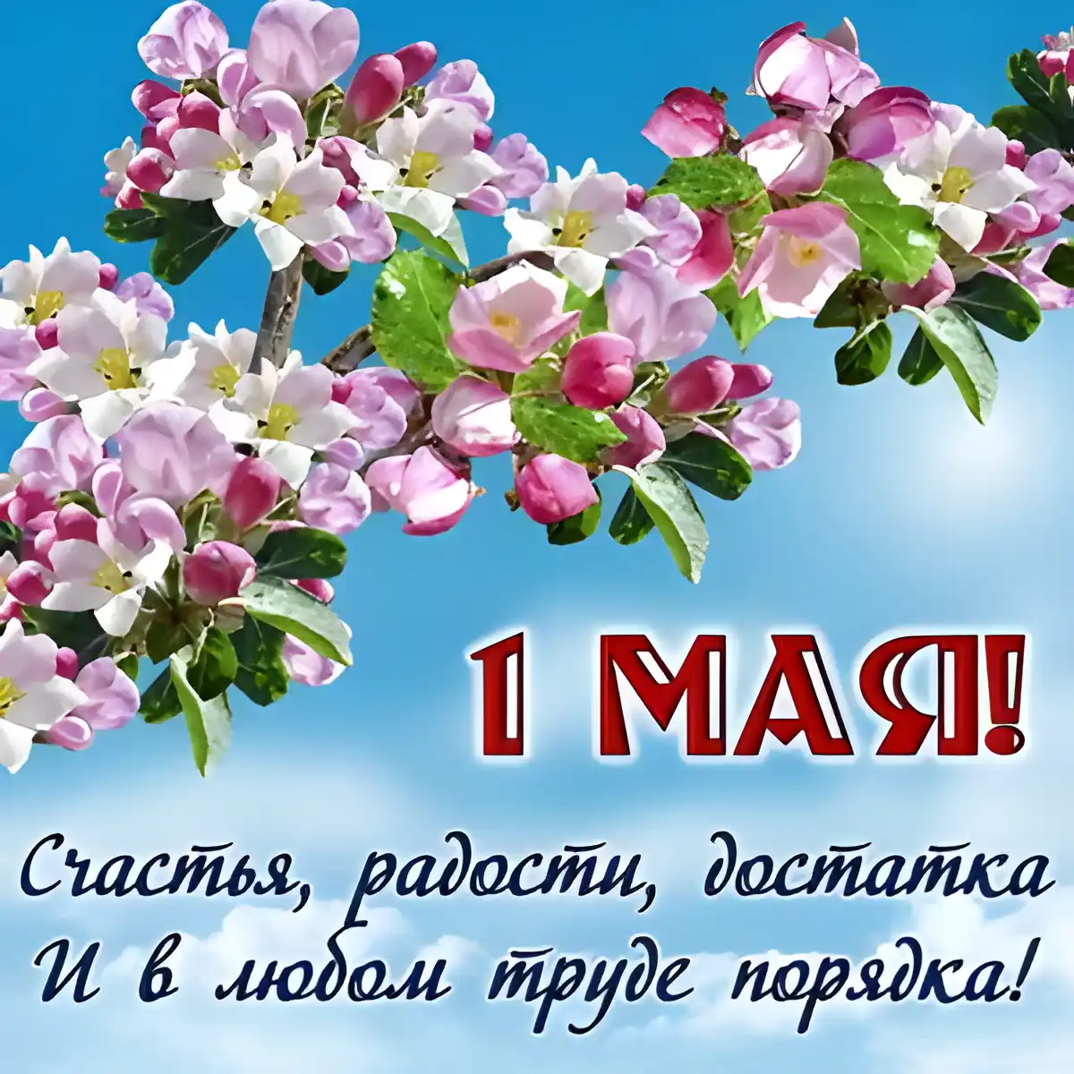 Открытка открытки на 1 мая - 1 мая: Открытка с цветами и поздравлением | Красивая открытка #111