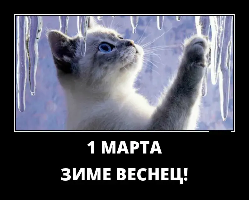 Открытка Демотиваторы - Котенок и сосульки: открытка 1 марта  С Днем снега! | Красивая открытка #14