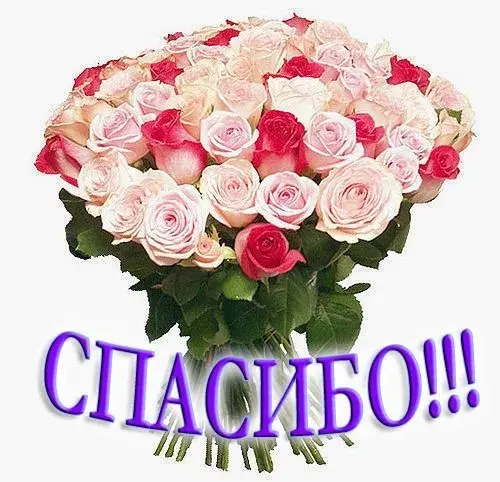 Открытка Спасибо - Букет роз: нежные оттенки для вас | Красивая открытка #90