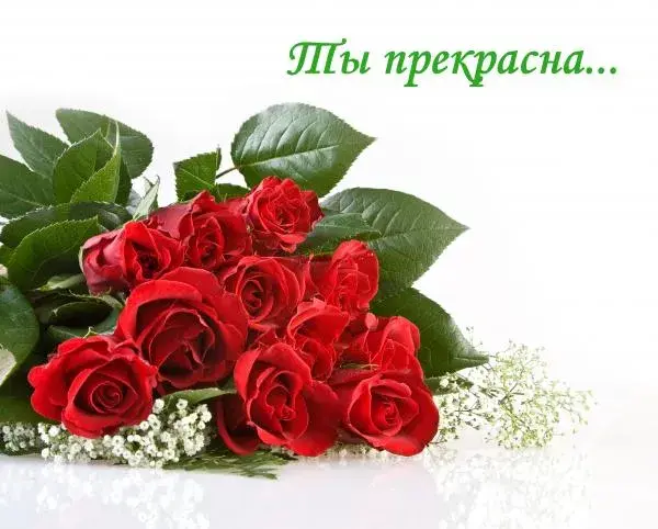 Открытка Ты прекрасна - Букет красных роз: нежные цветы для вас | Красивая открытка #27