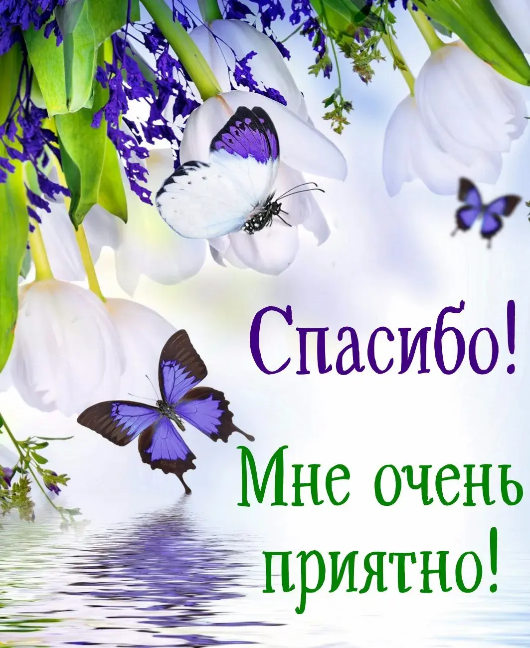 Открытка Спасибо - Открытка с цветами и бабочками  Праздничная открытка | Красивая открытка #97