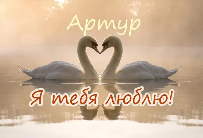 Открытка открытки с именем Артур - Два лебедя на воде, открытка с любовью | Красивая открытка #200