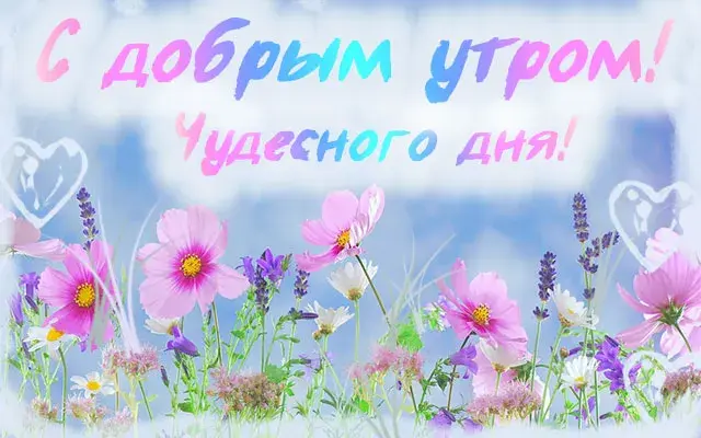 Открытка доброе летнее утро - Полевые цветы на голубом фоне | Красивая открытка #3