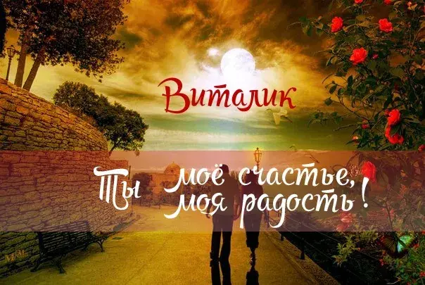 Открытка открытки с именем Виталий - Пара на фоне заката, цветы, романтика | Красивая открытка #89