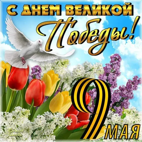 Открытка 9 мая день победы - Праздничная открытка: 9 мая, голубь, цветы | Красивая открытка #10