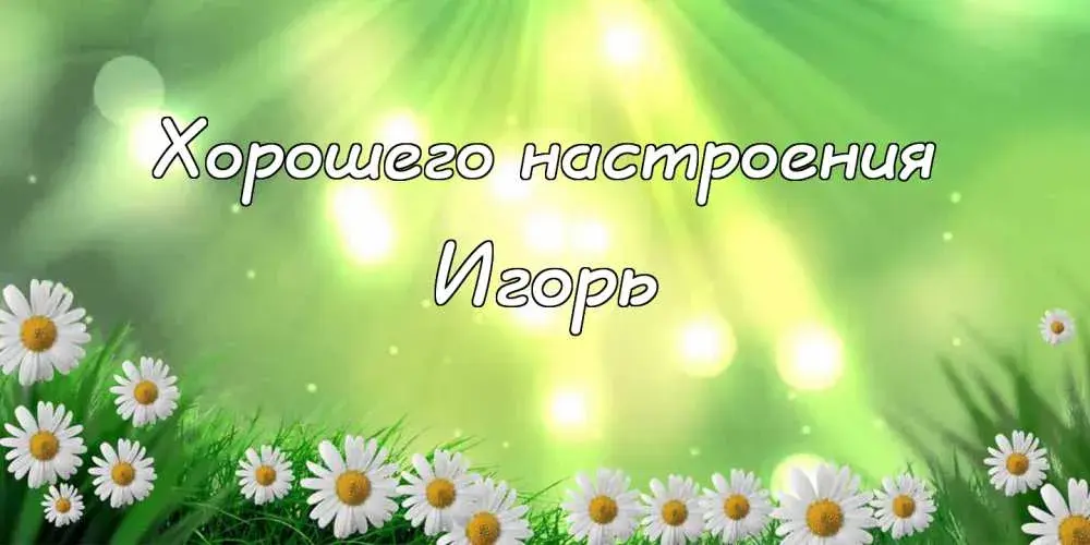 Открытка открытки с именем Игорь - Полевые цветы: открытка с ромашками | Красивая открытка #174