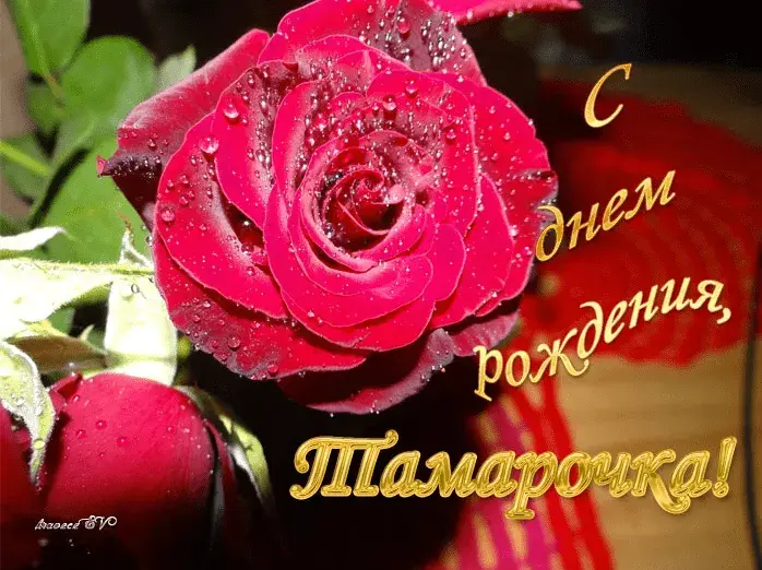 Открытка С красными розами - Открытка с розами: День рождения мамы | Красивая открытка #62