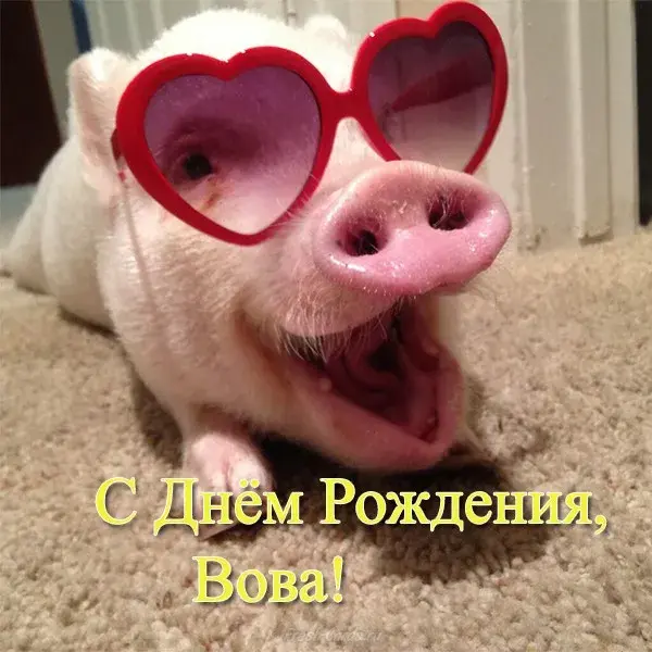 Открытка открытки с именем Владимир - С Днём рождения! Милый поросенок в очках | Красивая открытка #215