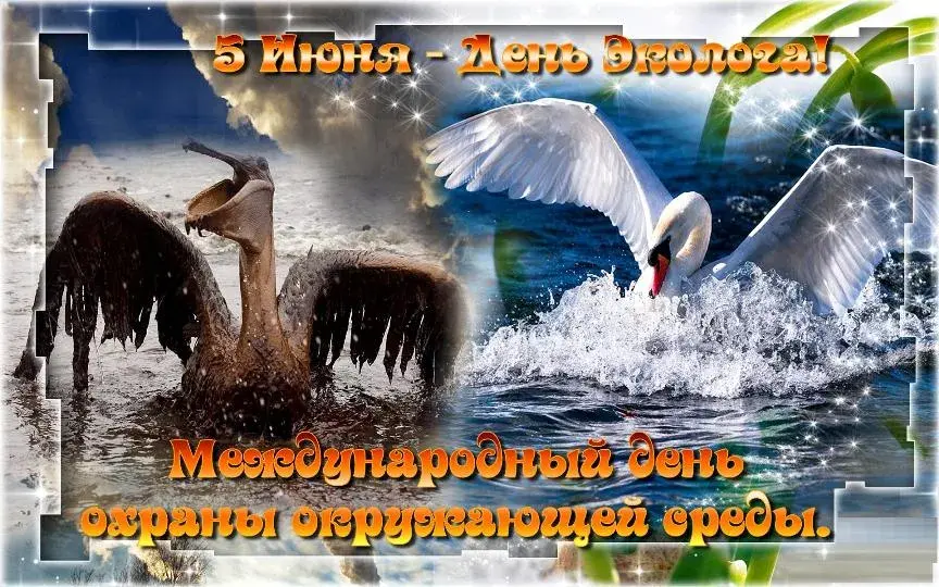 Открытка Всемирный день окружающей среды - Белый цапель на фоне заката. Открытка с природой | Красивая открытка #18
