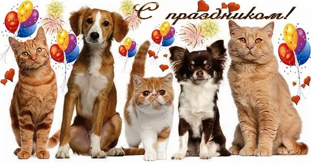 Открытка Открытки на Всемирный день домашних животных - Открытка с котами и собаками | Красивая открытка #9