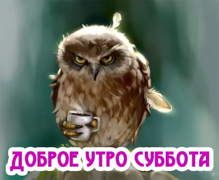 Открытка Открытки на субботу - Сова с кофе: открытка "Доброе утро!" | Красивая открытка #154