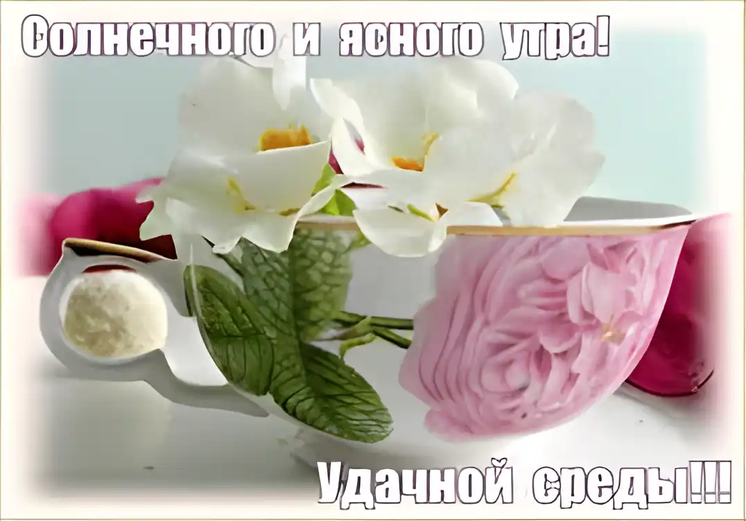 Открытка Открытки на среду - Открытка с цветами в чашке: розы, мята, вафельный рожок | Красивая открытка #112