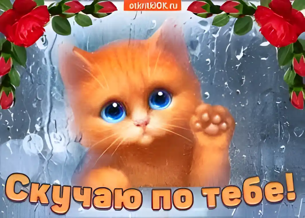 Открытка Скучаю - Открытка с котенком: Милая картинка для тебя! | Красивая открытка #98